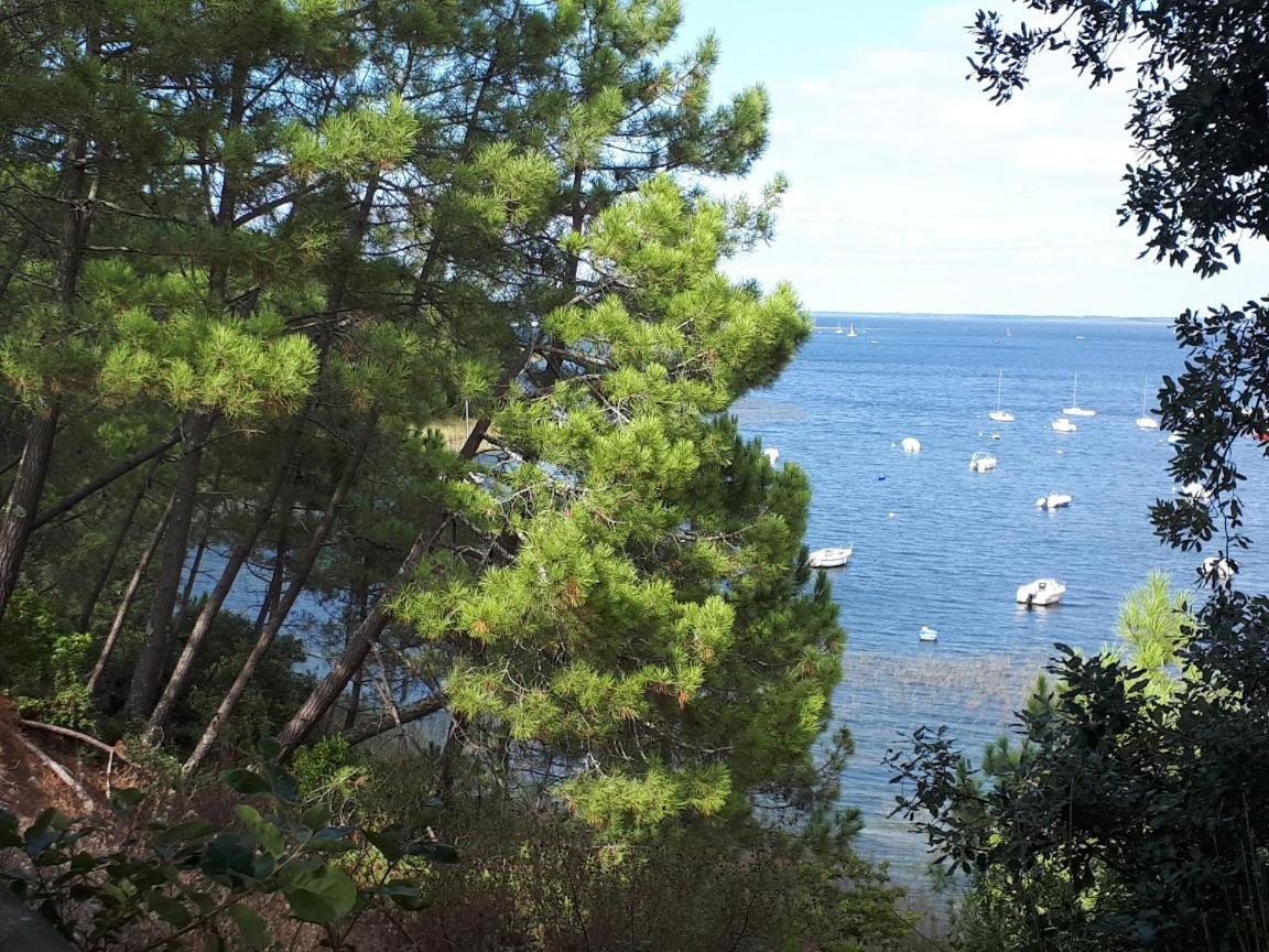 L'Escale Cote Jardin Villa Saint-Laurent-de-Medoc Eksteriør billede